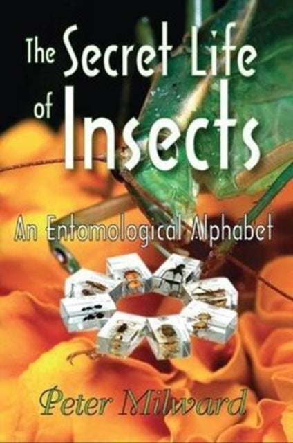 Book cover of: Secret Life of Insects. By: Peter Milward