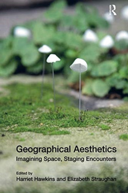 Book cover of: Geographical Aesthetics. By: Harriet Hawkins
