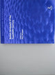 Book cover of: British Sculptors of the Twentieth Century. By: Alan Windsor