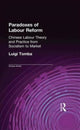 Book cover of: Paradoxes of Labour Reform. By: Luigi Tomba