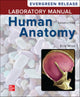 Book cover of: Laboratory Manual by Wise for Saladin's Human Anatomy: 2024 Release