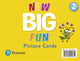 Book cover of: New Big Fun - (AE) - 2nd Edition (2019) - Picture Cards - Level 2