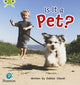 Book cover of: Bug Club Phonics - Phase 2 Unit 4: Is It a Pet?. By: Deborah Vilardi