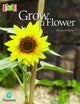 Book cover of: Bug Club Reading Corner: Age 4-7: Grow a Flower. By: Margaret Clyne