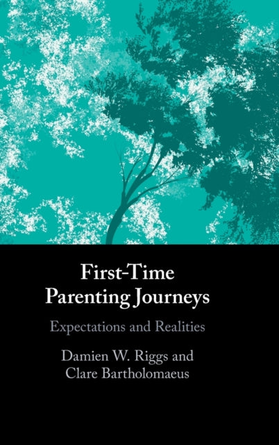 Book cover of: First-Time Parenting Journeys. By: Damien W. Riggs