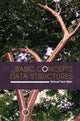 Book cover of: Basic Concepts in Data Structures. By: Shmuel Tomi Klein