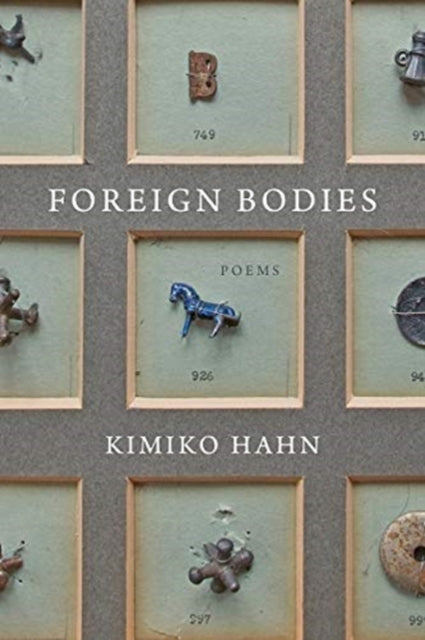 Book cover of: Foreign Bodies. By: Kimiko Hahn