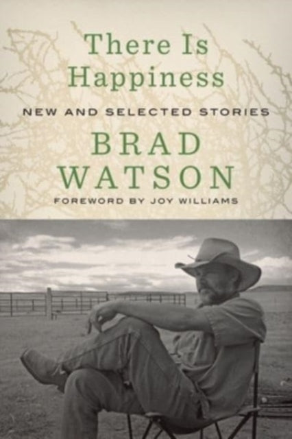Book cover of: There Is Happiness. By: Brad Watson