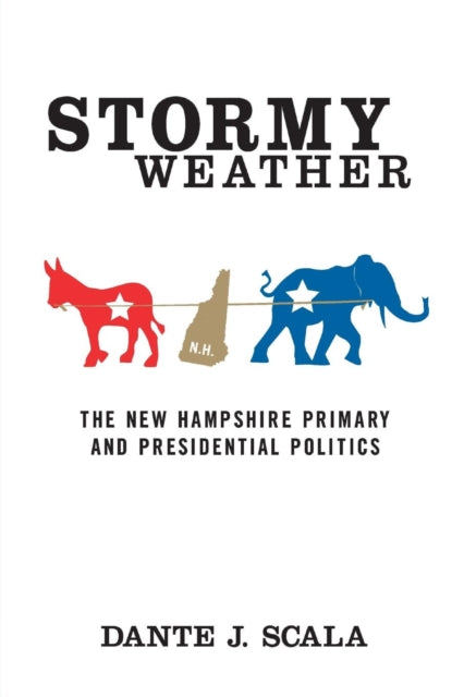 Book cover of: Stormy Weather. By: D. Scala