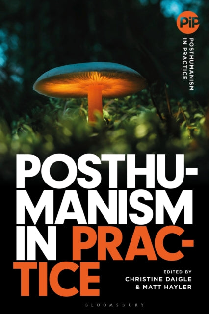 Book cover of: Posthumanism in Practice