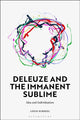 Book cover of: Deleuze and the Immanent Sublime. By: Louis Schreel