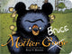 Book cover of: Mother Bruce (Board Book). By: Ryan T. Higgins