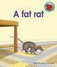 Book cover of: fat rat. By: Paul George