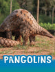 Book cover of: Pangolins. By: Jaclyn Jaycox