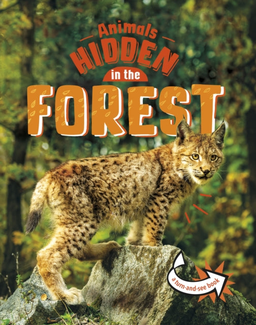 Book cover of: Animals Hidden in the Forest. By: Jessica Rusick