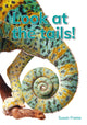 Book cover of: Look at the tails!. By: Susan Frame