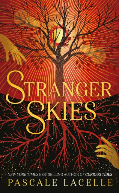 Book cover of: Stranger Skies