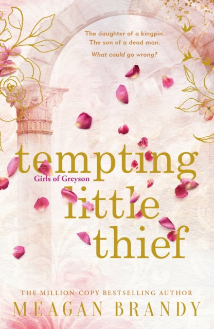 Tempting Little Thief, TikTok made me buy it! The spicy and addictive romance from a million-copy bestselling author 9781398719538 Meagan Brandy
