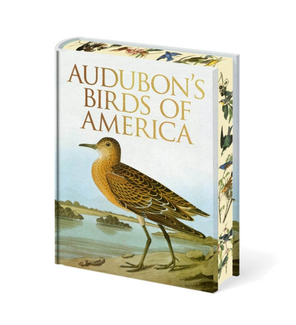Book cover of: Audubon's Birds of America