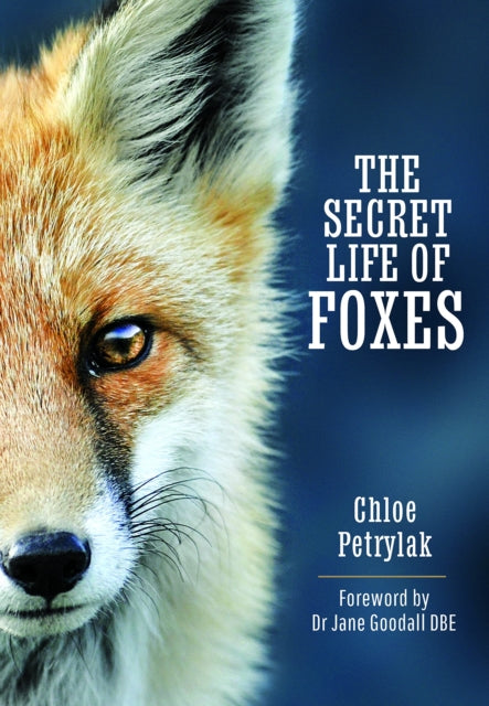 Book cover of: Secret Life of Foxes. By: Chloe Petrylak