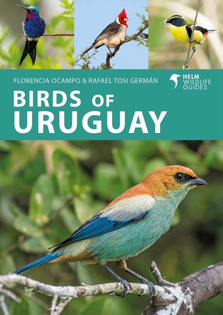 Birds of Uruguay 9781399406734 Florencia Ocampo