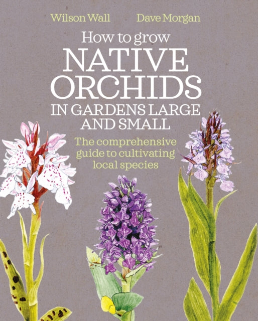 How to Grow Native Orchids in Gardens Large and Small, The comprehensive guide to cultivating local species 9781399426190 Wilson Wall