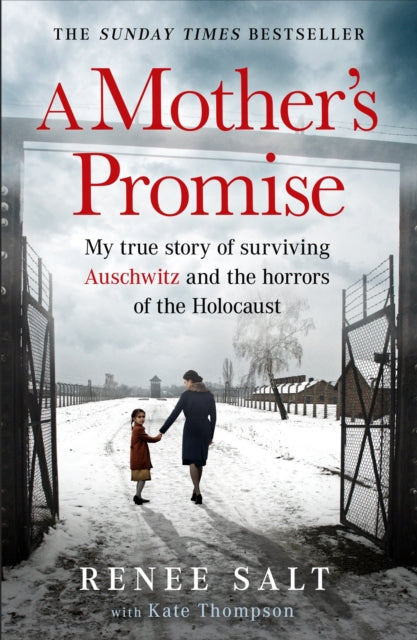 Book cover of: Mother's Promise. By: Re'nee Salt