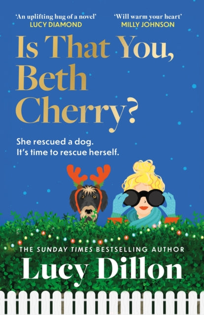 Book cover of: Is That You, Beth Cherry?