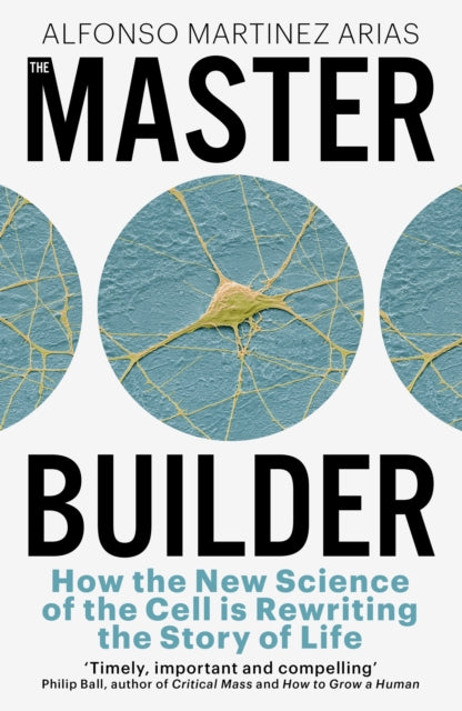 Book cover of: Master Builder. By: Alfonso Martinez Arias