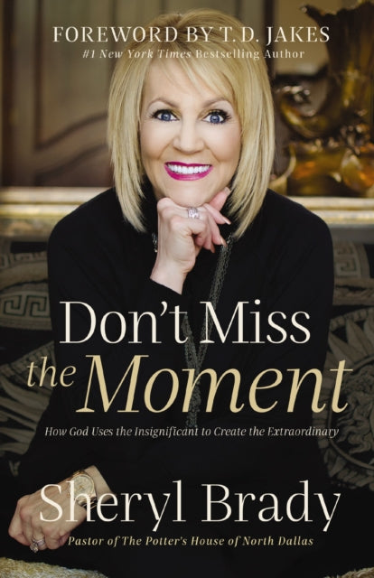 Book cover of: Don't Miss the Moment. By: Sheryl Brady