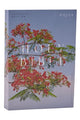 Book cover of: NRSV Catholic Edition Bible, Royal Poinciana Paperback (Global Cover Series). By: Catholic Bible Press