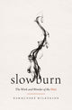 Book cover of: Slow Burn