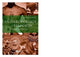 Book cover of: Anthropology of Religion. By: Fiona Bowie