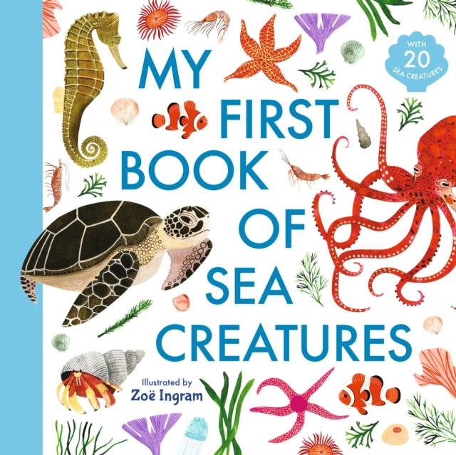 Book cover of: My First Book of Sea Creatures. By: Zoë Ingram