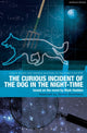 Curious Incident of the Dog in the Night-Time, The Play 9781408185216 Mark Haddon