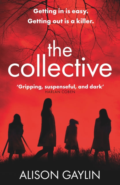 Book cover of: Collective. By: Alison Gaylin