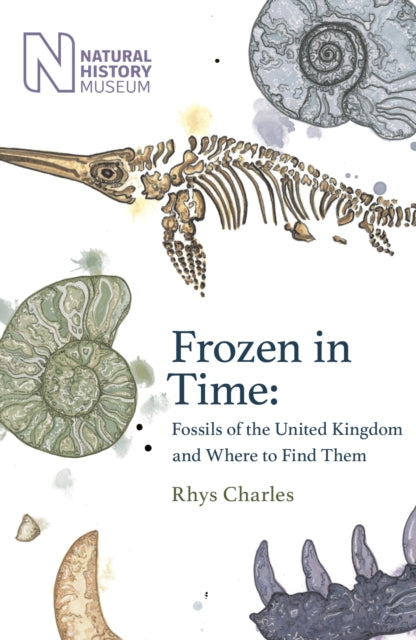 Book cover of: Frozen in Time. By: Rhys Charles