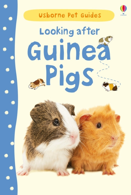 Book cover of: Looking after Guinea Pigs. By: Laura Howell