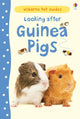 Book cover of: Looking after Guinea Pigs. By: Laura Howell