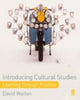 Book cover of: Introducing Cultural Studies. By: David Walton