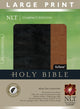 Book cover of: Large Print Compact Bible-NLT