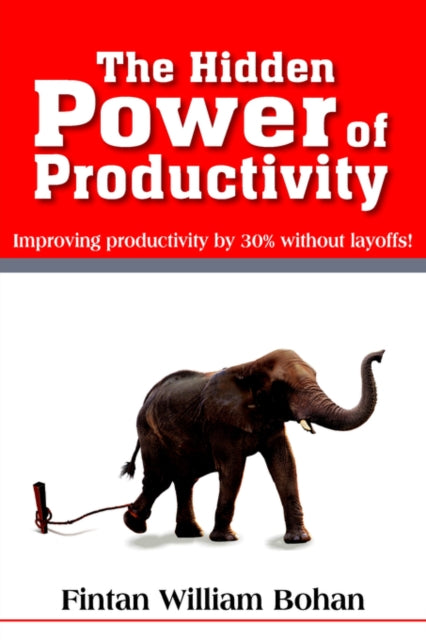 Book cover of: Hidden Power of Productivity. By: Fintan William Bohan