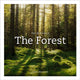 Book cover of: Life & Love of the Forest. By: Lewis Blackwell