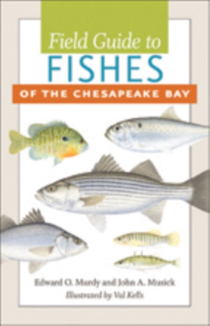 Book cover of: Field Guide to Fishes of the Chesapeake Bay. By: Edward O. Murdy