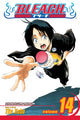 Book cover of: Bleach, Vol. 14. By: Tite Kubo