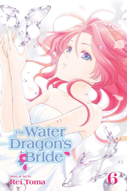 Book cover of: Water Dragon's Bride, Vol. 6. By: Rei Tōma
