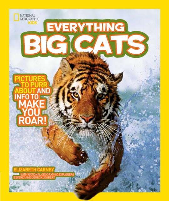 Book cover of: Everything Big Cats