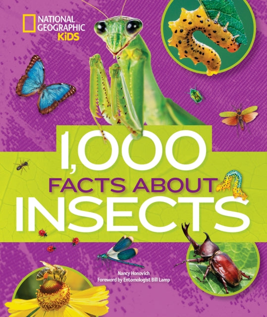 Book cover of: 1000 Facts About Insects