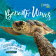 Book cover of: Beneath the Waves. By: Stephanie Warren Drimmer