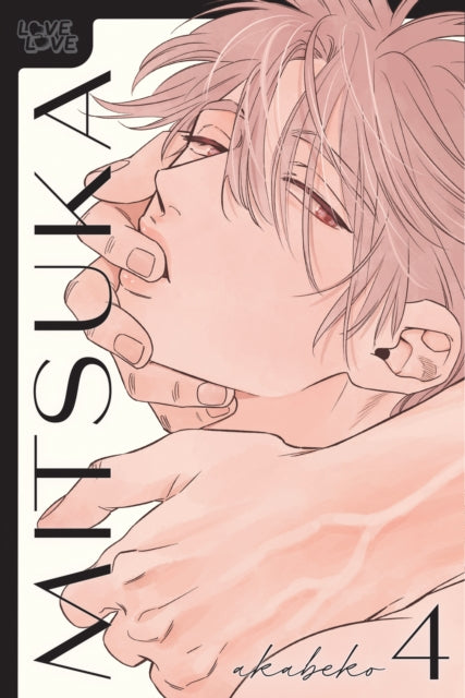 Book cover of: Mitsuka, Volume 4